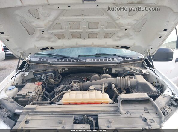 1FTEW1EB7KKC24832 2019 FORD F150 Белый Вид сзади