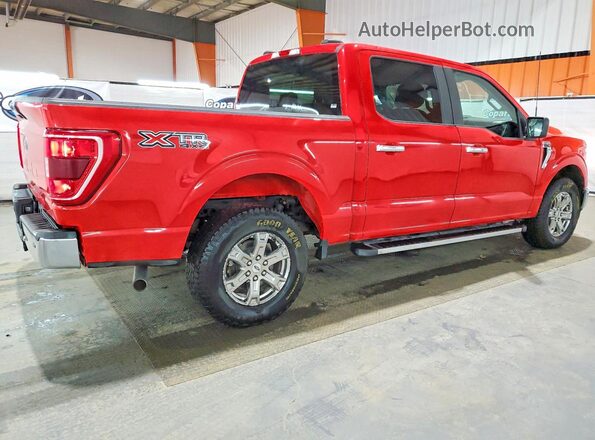 1FTEW1EB7MKE01771 2021 FORD F150 Red Tył prawy