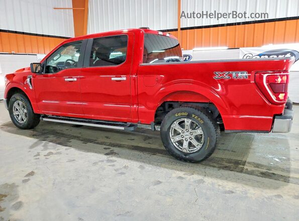1FTEW1EB7MKE01771 2021 FORD F150 Red Tył lewy