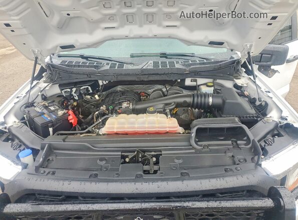 1FTEW1EBXMFB81003 2021 FORD F150 White Rear interior view