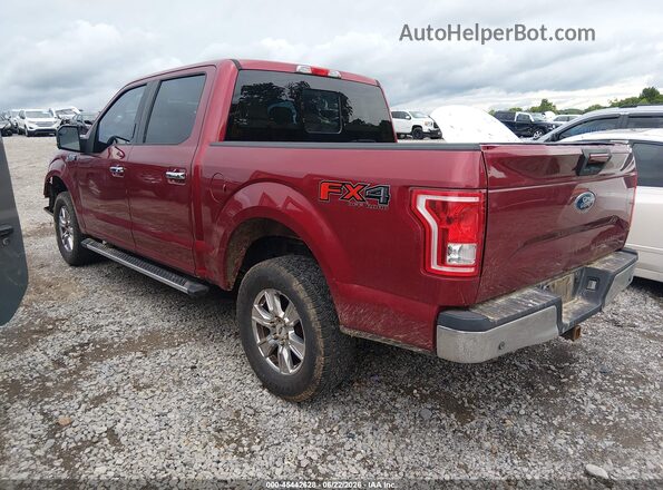 1FTEW1EF0GFB81051 2016 FORD F150 Red Հետևի ձախ