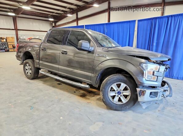 1FTEW1EF1HFA48784 2017 FORD F150 Gray 