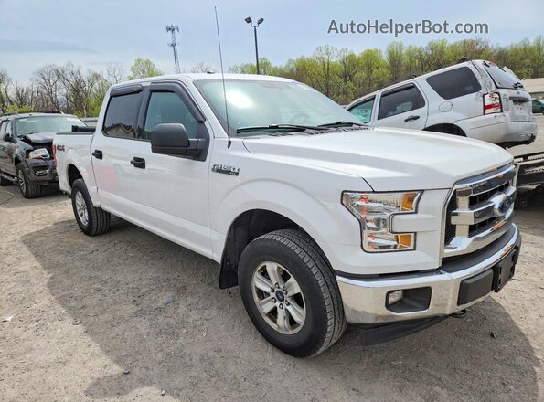 1FTEW1EF1HFB23340 2017 FORD F150 White Առջևի աջ