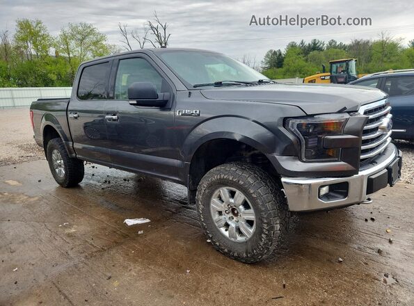 1FTEW1EF1HFC43994 2017 FORD F150 Charcoal 