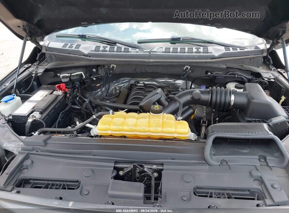 1FTEW1EF1HKD69487 2017 FORD F150 Gray უკანა ხედი