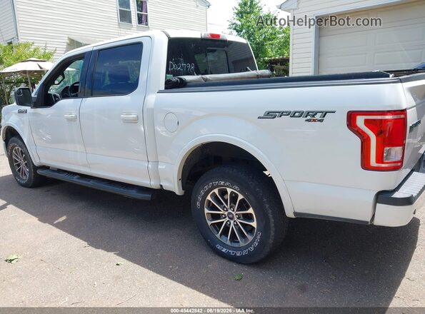 1FTEW1EF3GFD02798 2016 FORD F150 White Հետևի ձախ