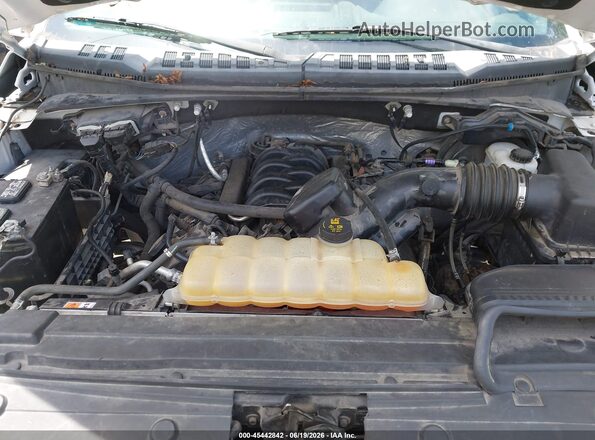 1FTEW1EF3GFD02798 2016 FORD F150 White Հետևի տեսք