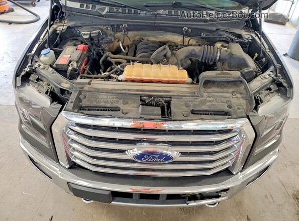 1FTEW1EF3GKE79262 2016 FORD F150 Gray Սալոնի հետևի տեսք