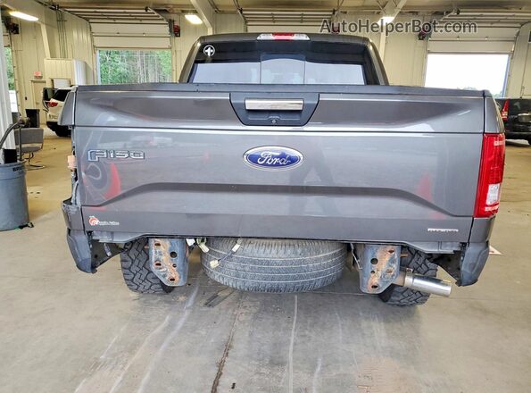 1FTEW1EF3GKE79262 2016 FORD F150 Gray Հետևի տեսք