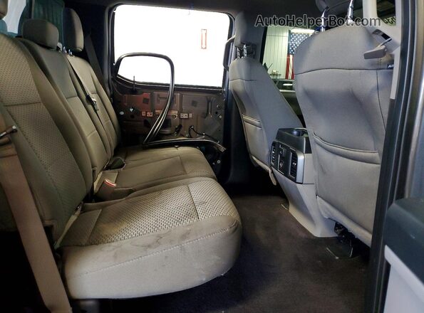 1FTEW1EF3GKE79262 2016 FORD F150 Gray Հետևի նստատեղերի տեսք