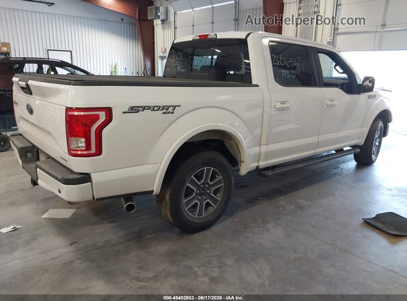 1FTEW1EF4GFA96245 2016 FORD F150 White Հետևի աջ