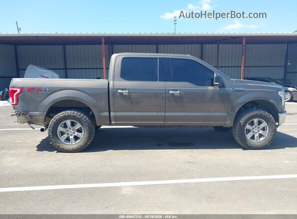 1FTEW1EF4HFA31168 2017 FORD F150 Gray Вид задньої частини салону