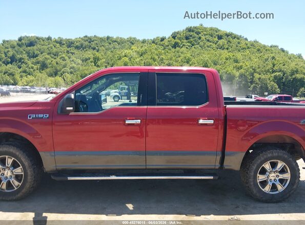 1FTEW1EF5GFB24330 2016 FORD F150 Темно-бордовый Панорамный вид салона 360°