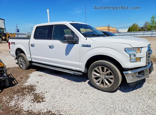 1FTEW1EF5GFC49053 2016 FORD F150 White Передня права чверть