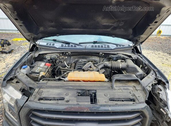 1FTEW1EF5HKC82465 2017 FORD F150 Серый Вид задней части салона