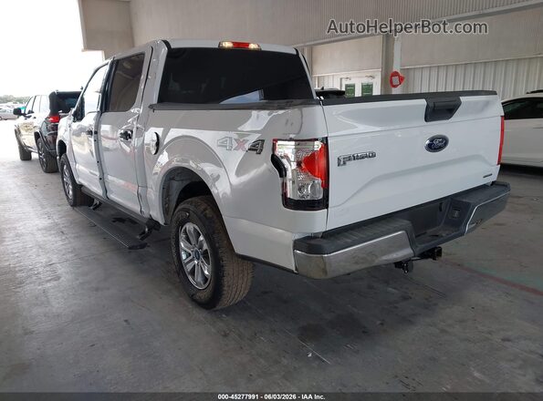 1FTEW1EF8GFA21774 2016 FORD F150 White Trasero izquierdo
