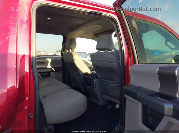 1FTEW1EF9GFA57280 2016 FORD F150 Burgundy VIN կոդի պիտակի տեսք