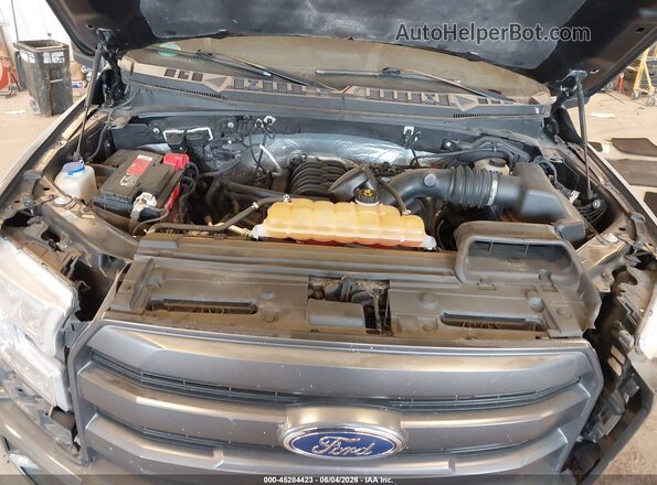 1FTEW1EFXGFB46288 2016 FORD F150 Gray Rear view