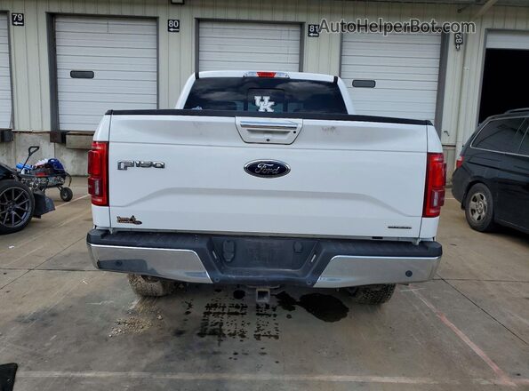 1FTEW1EFXGFC14315 2016 FORD F150 Белый Вид сзади