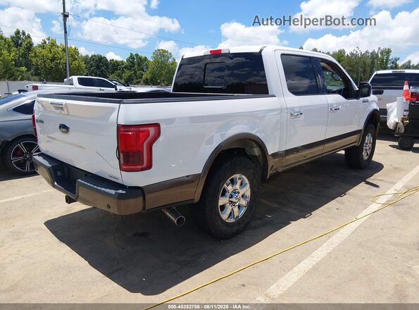 1FTEW1EFXGFD33689 2016 FORD F150 White Հետևի աջ