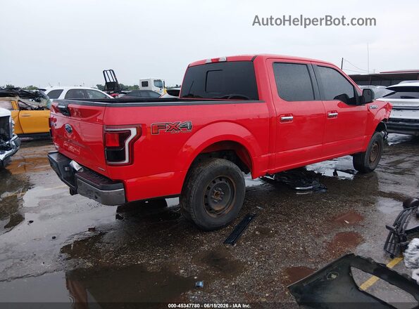 1FTEW1EFXGKF64177 2016 FORD F150 Red Tył prawy