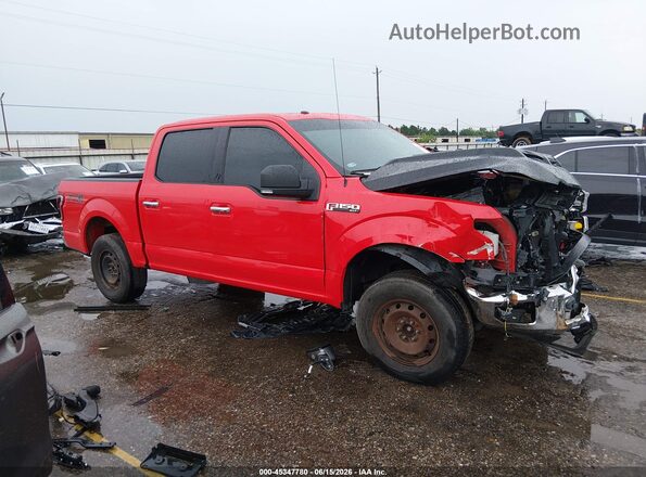 1FTEW1EFXGKF64177 2016 FORD F150 Red Widok wnętrza z tyłu