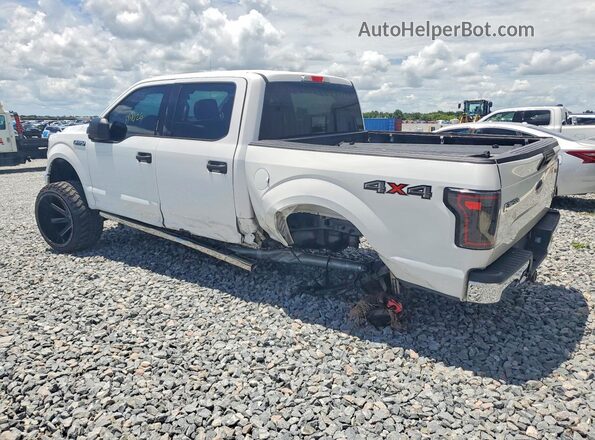 1FTEW1EFXHFC36400 2017 FORD F150 Белый 