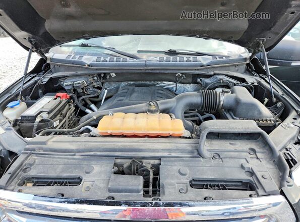 1FTEW1EG0GFB24986 2016 FORD F150 Green უკანა სალონის ხედი