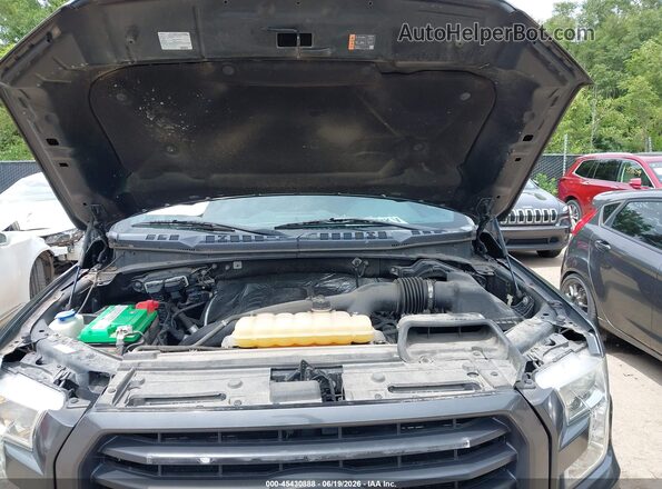 1FTEW1EG1GFD35615 2016 FORD F150 Gray უკანა ხედი