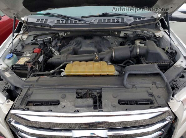 1FTEW1EG1HFC20434 2017 FORD F150 Белый Вид задней части салона