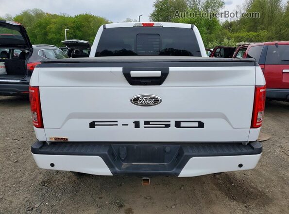 1FTEW1EG2HKE32203 2017 FORD F150 White Հետևի տեսք