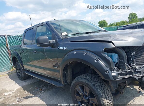 1FTEW1EG2HKE36073 2017 FORD F150 Gray Вид задньої частини салону
