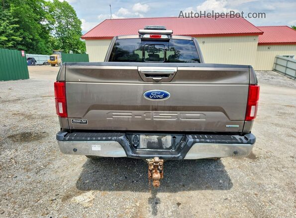 1FTEW1EG2JFD30639 2018 FORD F150 Tan Вид ззаду