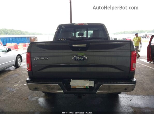 1FTEW1EG3GFB24447 2016 FORD F150 Серый 