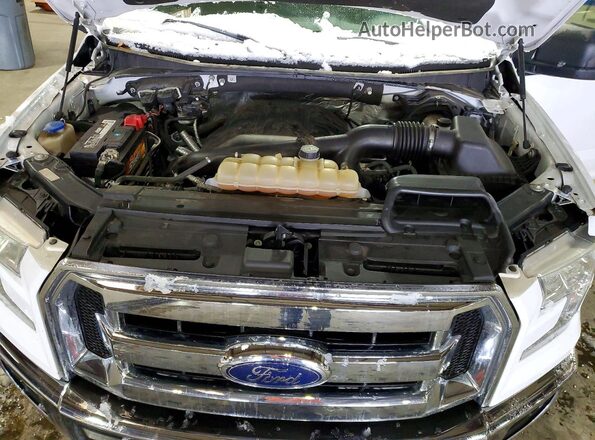 1FTEW1EG3GFC00149 2016 FORD F150 White Widok wnętrza z tyłu