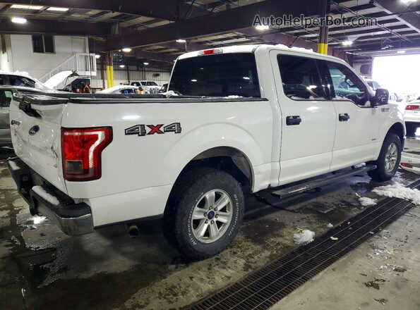 1FTEW1EG3GFC00149 2016 FORD F150 White Tył prawy