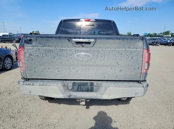 1FTEW1EG3GFC52042 2016 FORD F150 Black Vista trasera