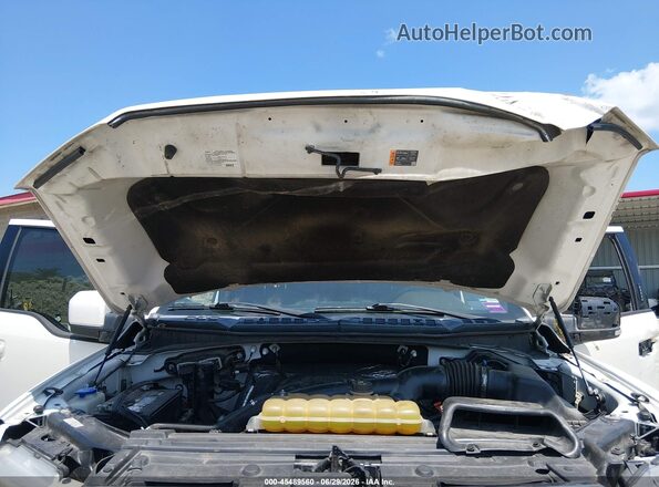 1FTEW1EG3GFD14510 2016 FORD F150 White Вид ззаду