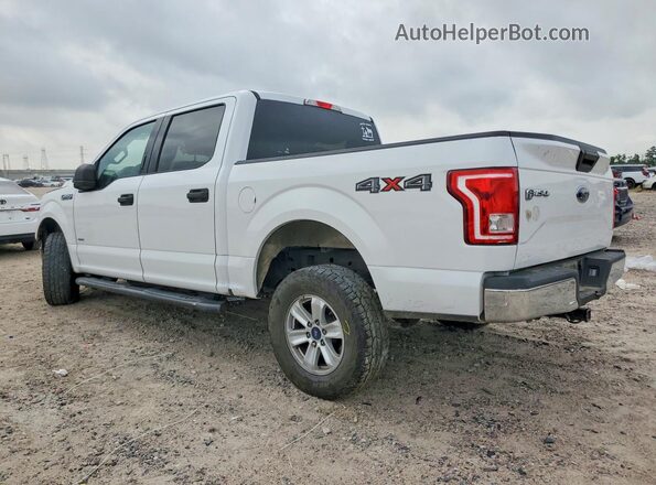 1FTEW1EG7GFB78835 2016 FORD F150 White Задня ліва чверть