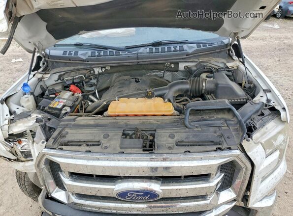 1FTEW1EG7GFB78835 2016 FORD F150 White Вид задньої частини салону