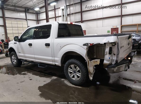 1FTEW1EG7GKD01556 2016 FORD F150 White Սալոնի 360 աստիճան տեսք