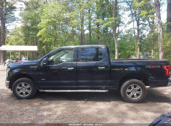 1FTEW1EGXGKF87886 2016 FORD F150 Черный Панорамный вид салона 360°