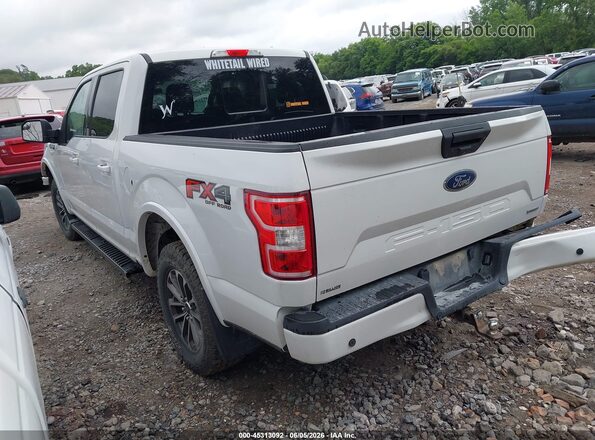 1FTEW1EP1KFD03725 2019 FORD F150 White უკანა მარცხენა