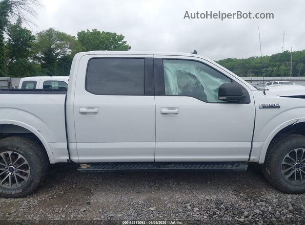 1FTEW1EP1KFD03725 2019 FORD F150 White უკანა სალონის ხედი