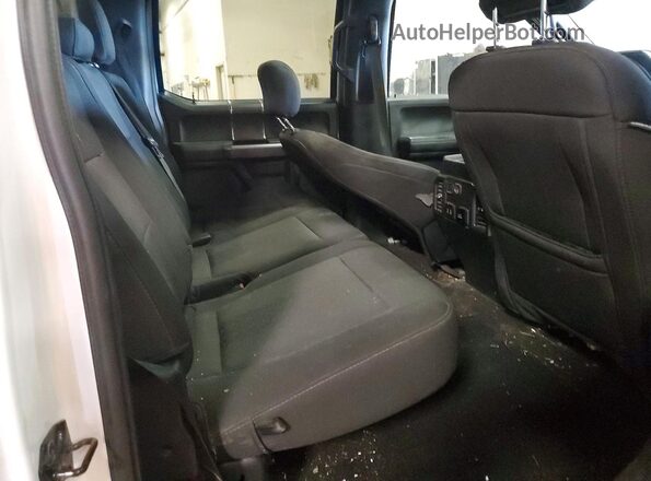 1FTEW1EP1LFB44769 2020 FORD F150 White უკანა სავარძლების ხედი