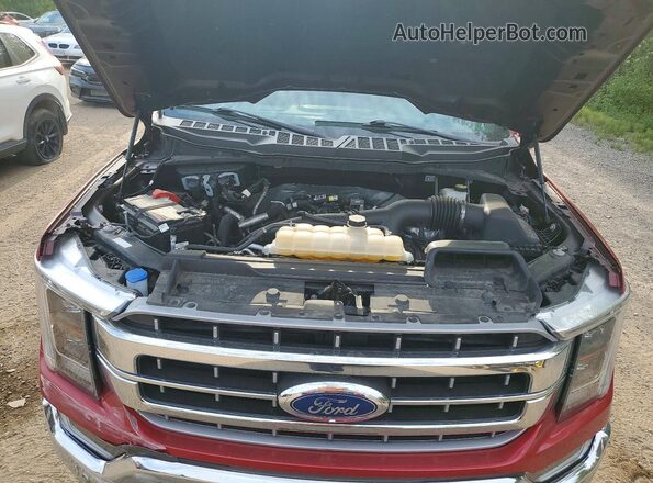 1FTEW1EP1PFB50481 2023 FORD F150 Red Սալոնի հետևի տեսք