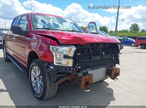 1FTEW1EP2HFA85514 2017 FORD F150 Красный Вид спереди