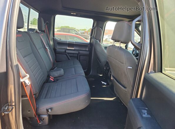 1FTEW1EP2KFA55291 2019 FORD F150 Gray Widok tylnych siedzeń