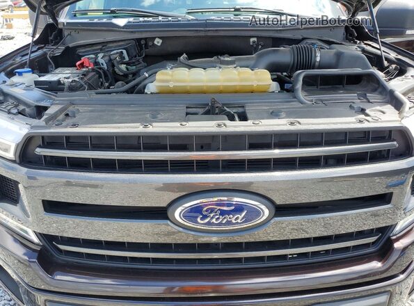 1FTEW1EP2LFA93394 2020 FORD F150 Purple Вид задньої частини салону