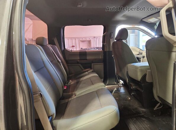 1FTEW1EP2LFC56741 2020 FORD F150 Gray Հետևի նստատեղերի տեսք